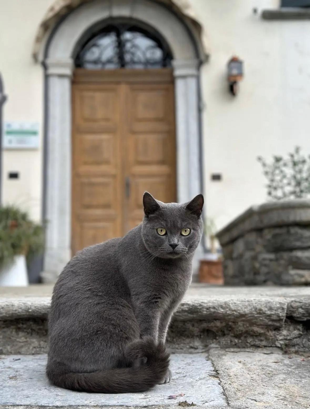B&B La Dolce Casa Lago Di Como Cremia ภายนอก รูปภาพ